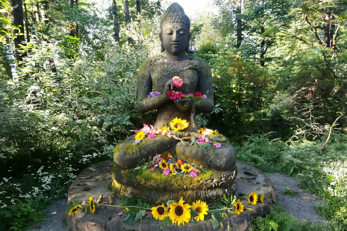buddha 6zu4