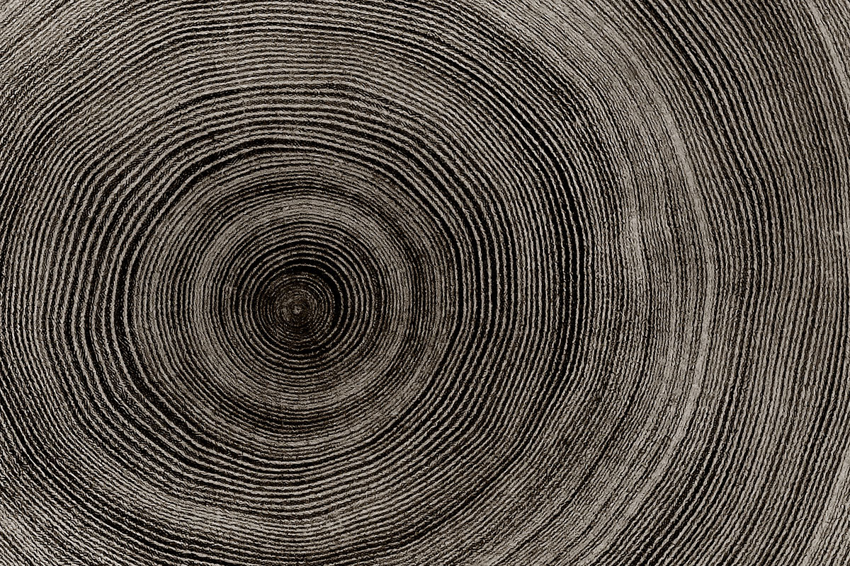 jahresringe 1200x800